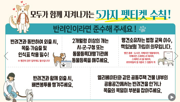 반려인이라면 반드시 준수해야 하는 5가지 펫티켓 수칙