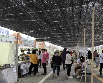 산청 한방약초축제_18