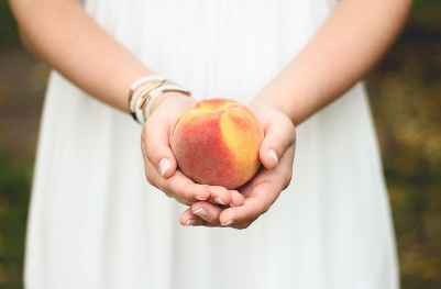 복숭아 효능, 칼로리, 종류 총정리 (2024ver)