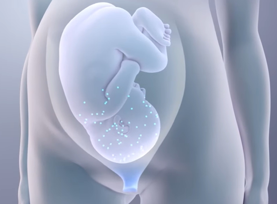 클라미디아 감염 경로