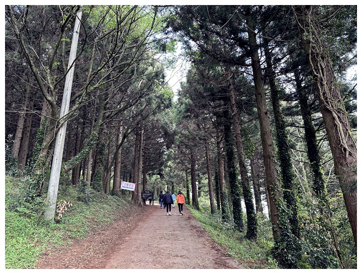 제주-금오름-올라가는길