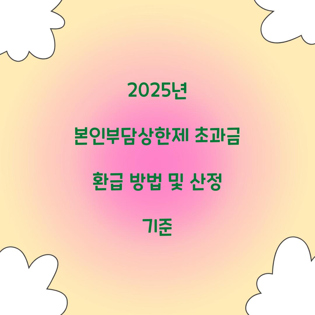2025년 본인부담상한제 초과금 환급