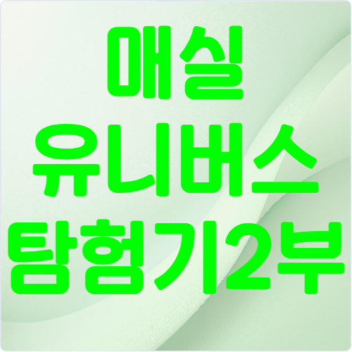 황매실 살구 구별