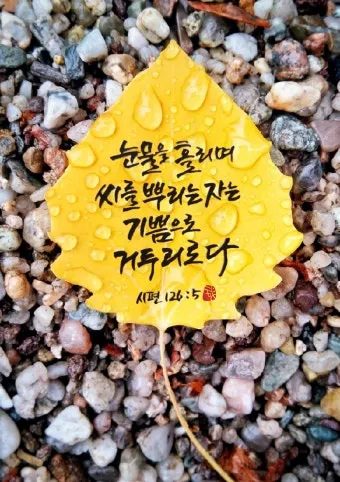 시편 126편 5 6절 씨뿌리는 자_12