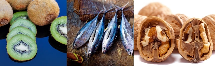 불면증과 숙면에 좋은 음식, 키위, 등 푸른 생선, 호두