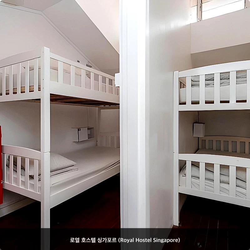 로열 호스텔 싱가포르 (Royal Hostel Singapore)_2