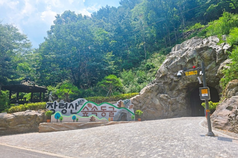 장령산자연휴양림