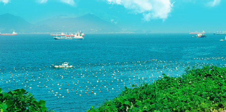 여수 레일바이크