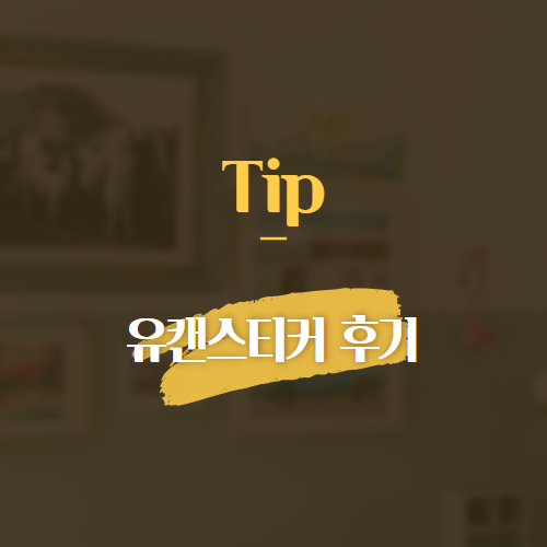 Tip 유캔스티커 후기
