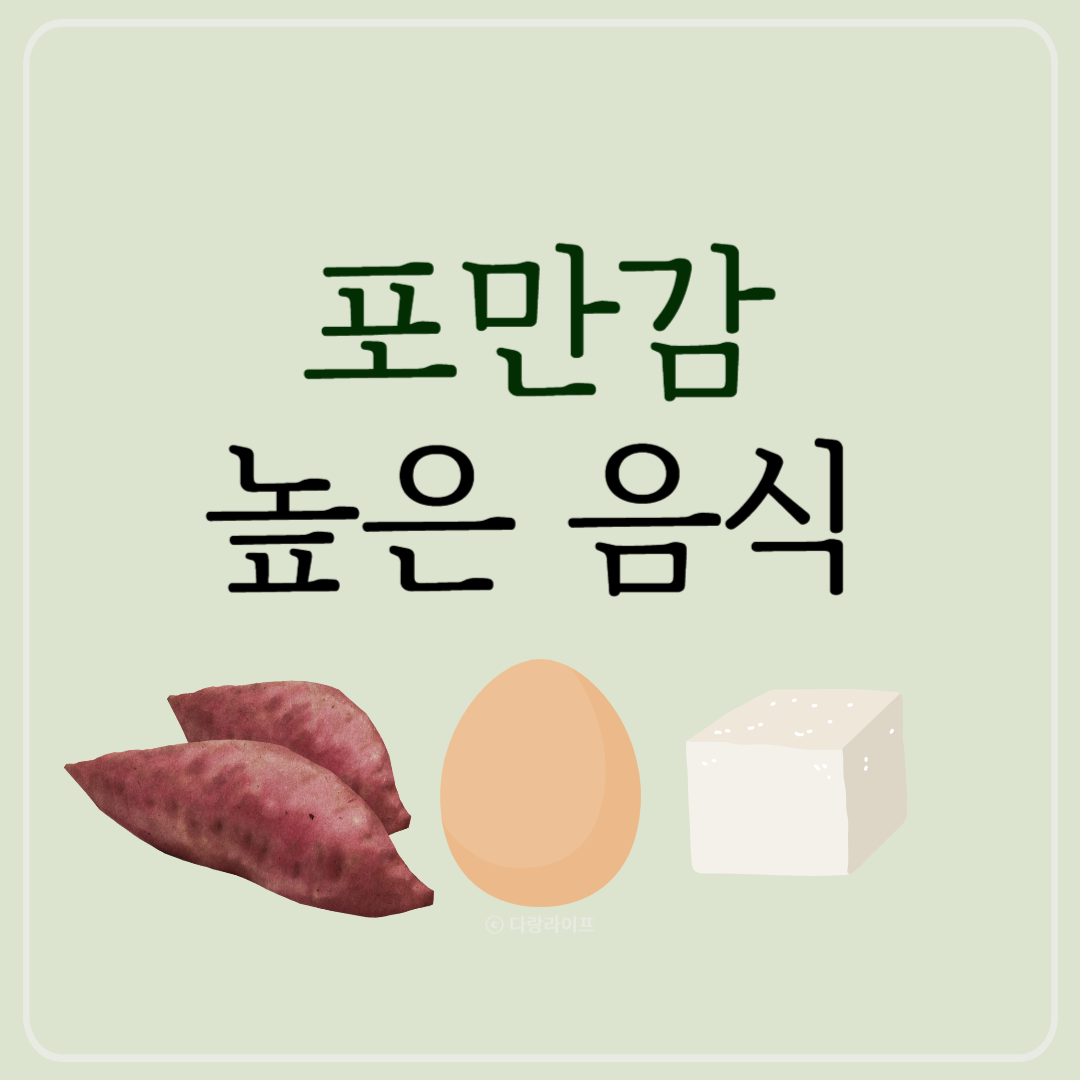 포만감높은음식 포만감 높은 식품 포만감 있는 음식 추천 다이어트 음식 식품