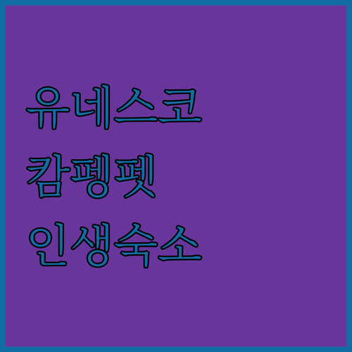 유네스코 유산 옆에서 즐기는 완벽한 ..