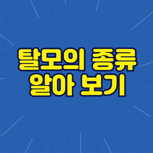 탈모의 종류