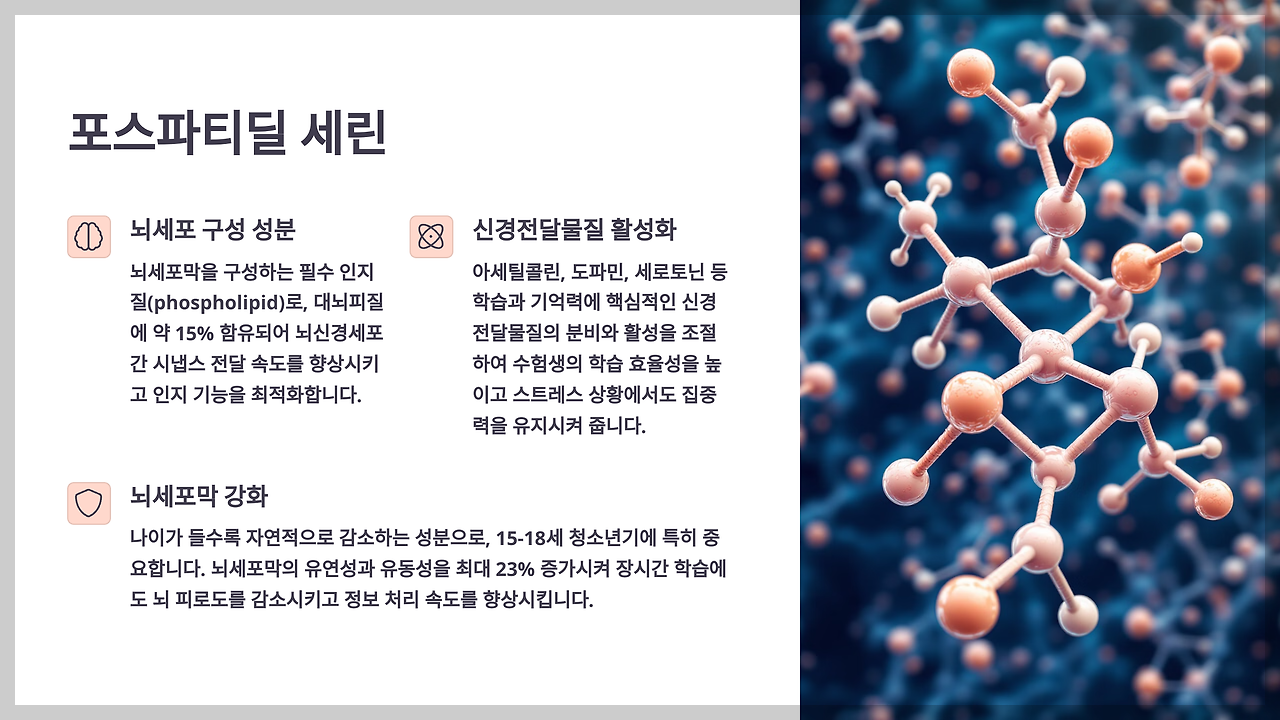 포스파티딜 세린