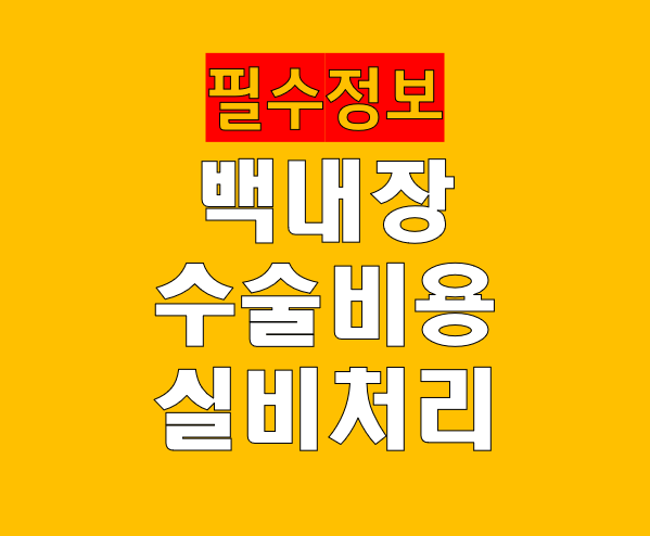 백내장 수술 비용, 실비 되는 경우/안되는 경우 완벽 정리