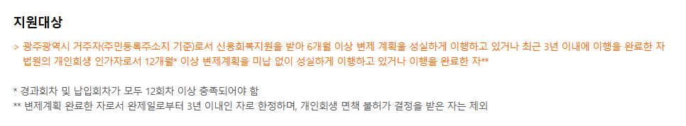 신용불량자 광주광역시 빛고을론 정부지원 대출 조건 한도