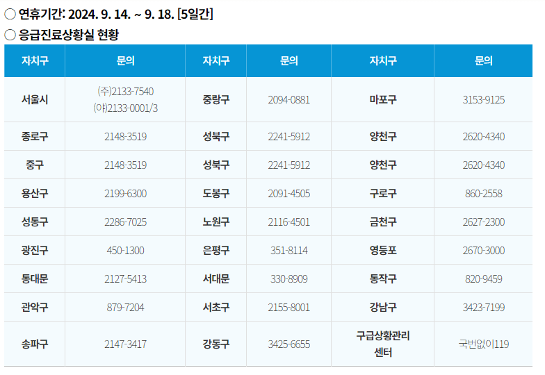 2024 의료 공백대비 추석연휴 응급 진료 병원, 약국 명단 알아보기
