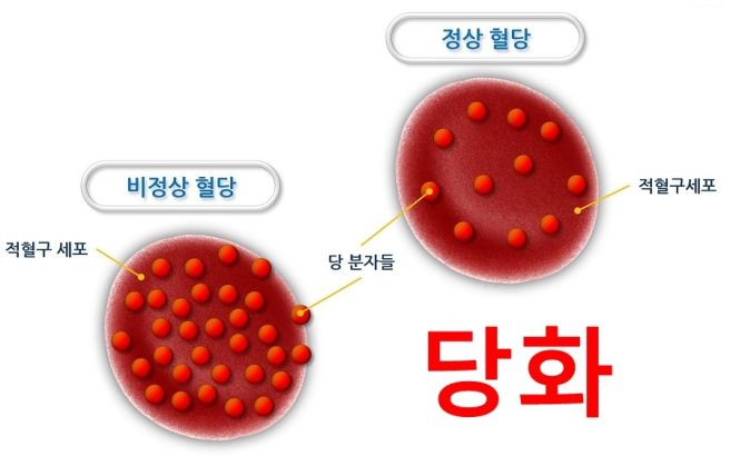 hba1c 정상수치