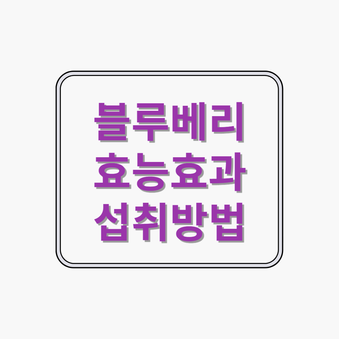 블루베리 효능효과 섭취방법