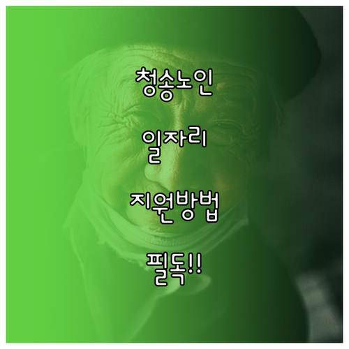 청송군 시니어클럽 위치와 노인 일자리..