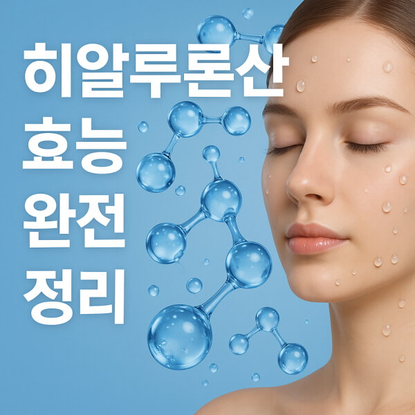 히알루론산 효능/GPT