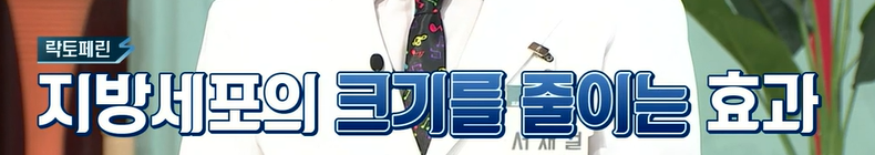 락토페린 효능