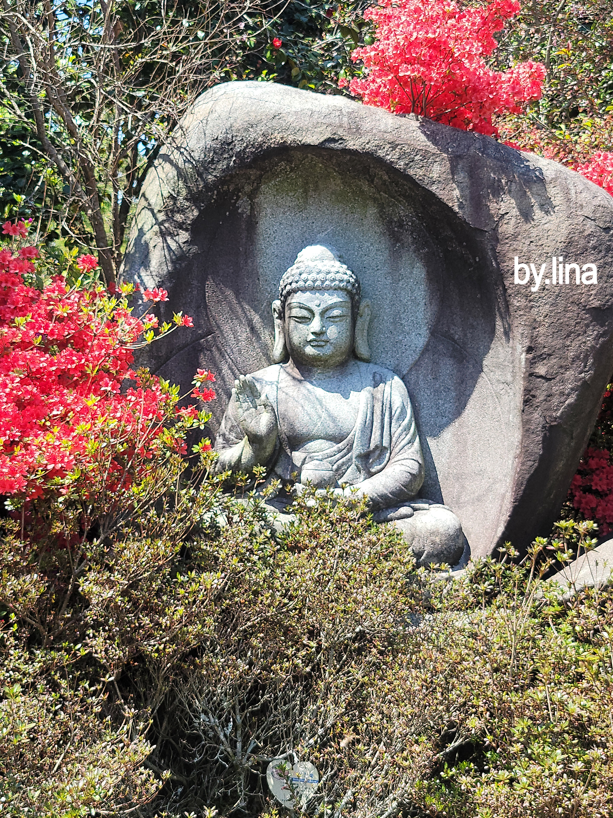 강진 남미륵사 월별 특징,위치 및 교통편, 맛집,관광지,여행팁 사진