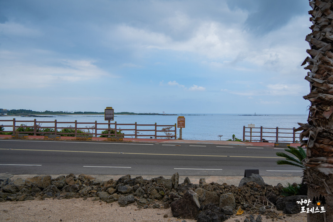 꼬스뗀뇨 해안드라이브