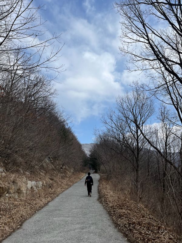 간월산 임도