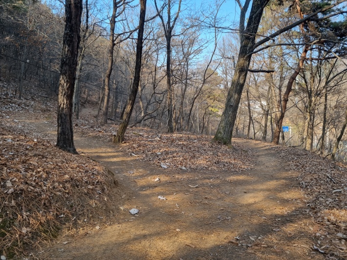 산책로