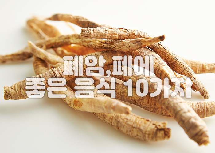도라지 이미지