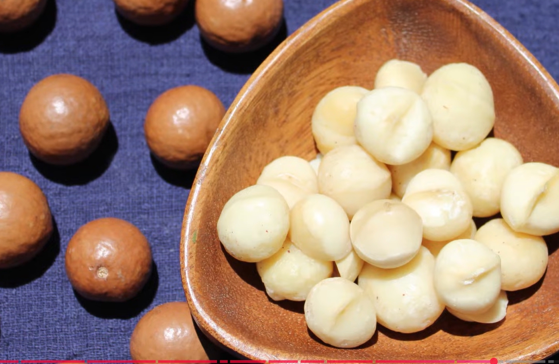 마카다미아의 효능