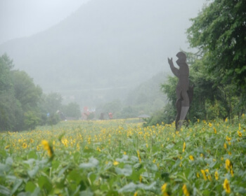 태백 해바라기 축제 가는 길_1