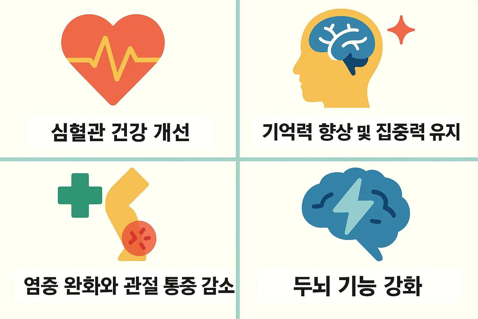 심혈관 건강 개선, 기억력 향상, 염증 완화, 두뇌 기능 강화 등 오메가3의 주요 효능을 도식화한 인포그래픽 이미지.