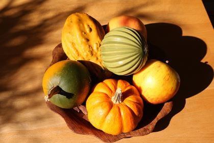 애호박-요리-추천