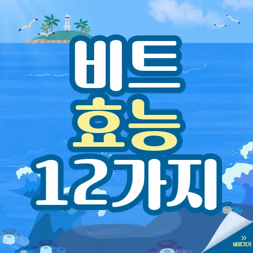 비트