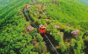 가족과함께할국내여행지