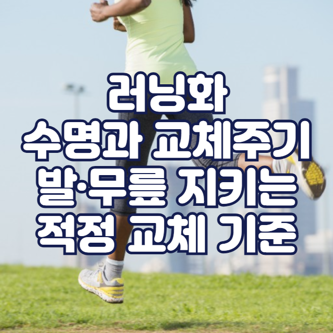 러닝화 수명과 교체주기, 발·무릎 지키는 적정 교체 기준