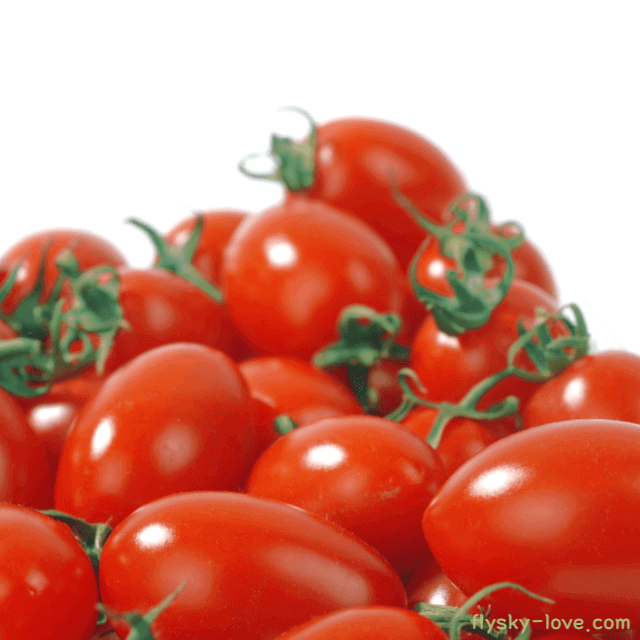 스테비아 방울토마토 효능