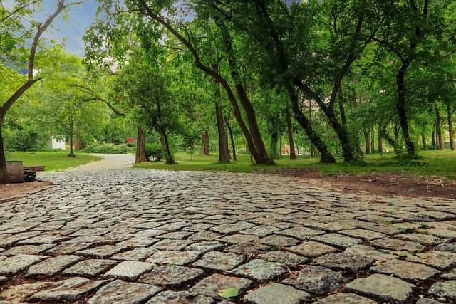 아침과 저녁, 언제 명상을 해야 효과가 좋을까?