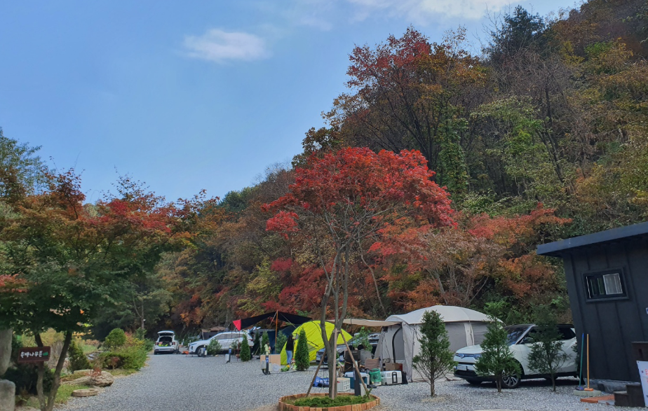 경기-포천-산정호수-돌고래캠핑장-사진-입니다.