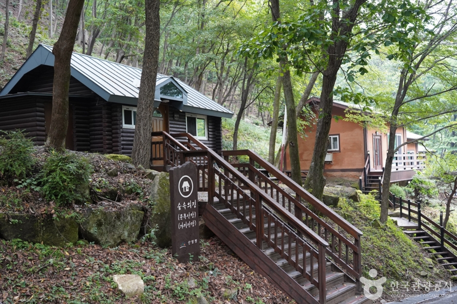 청도 가볼만한곳 베스트10