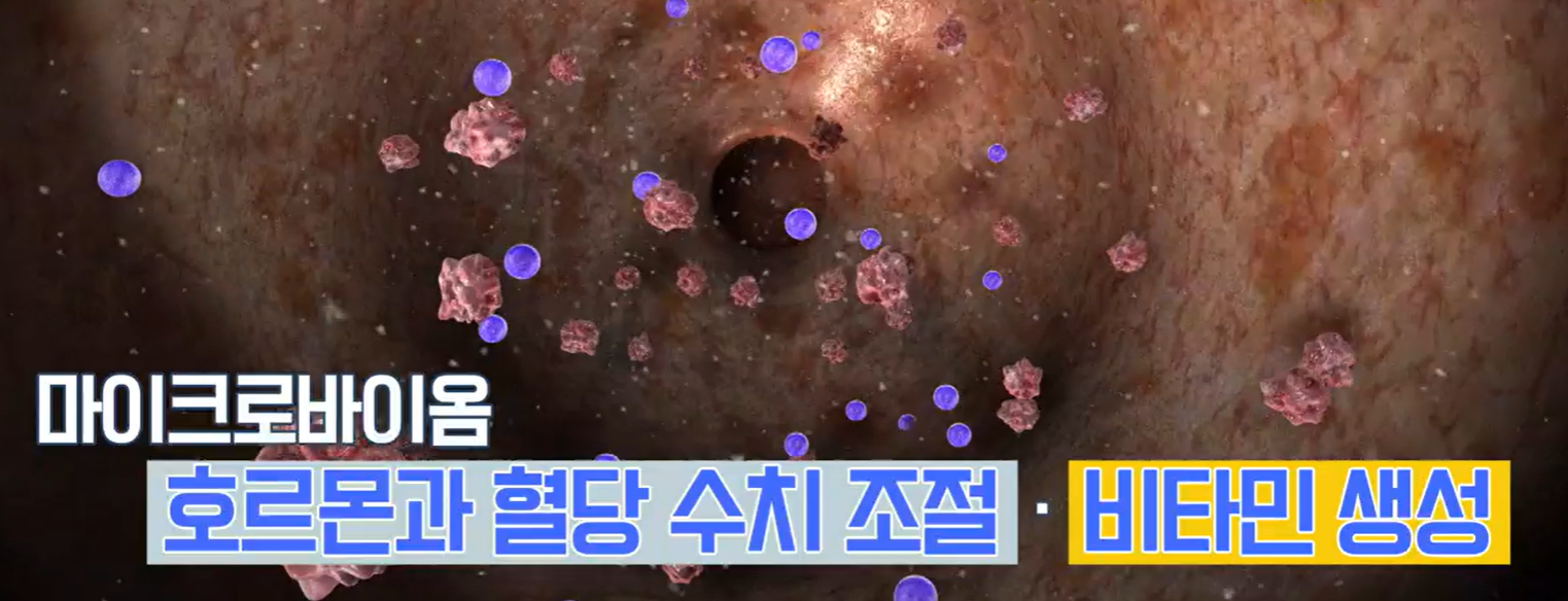 혈당 유산균
