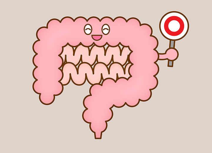 건강한-소화기관