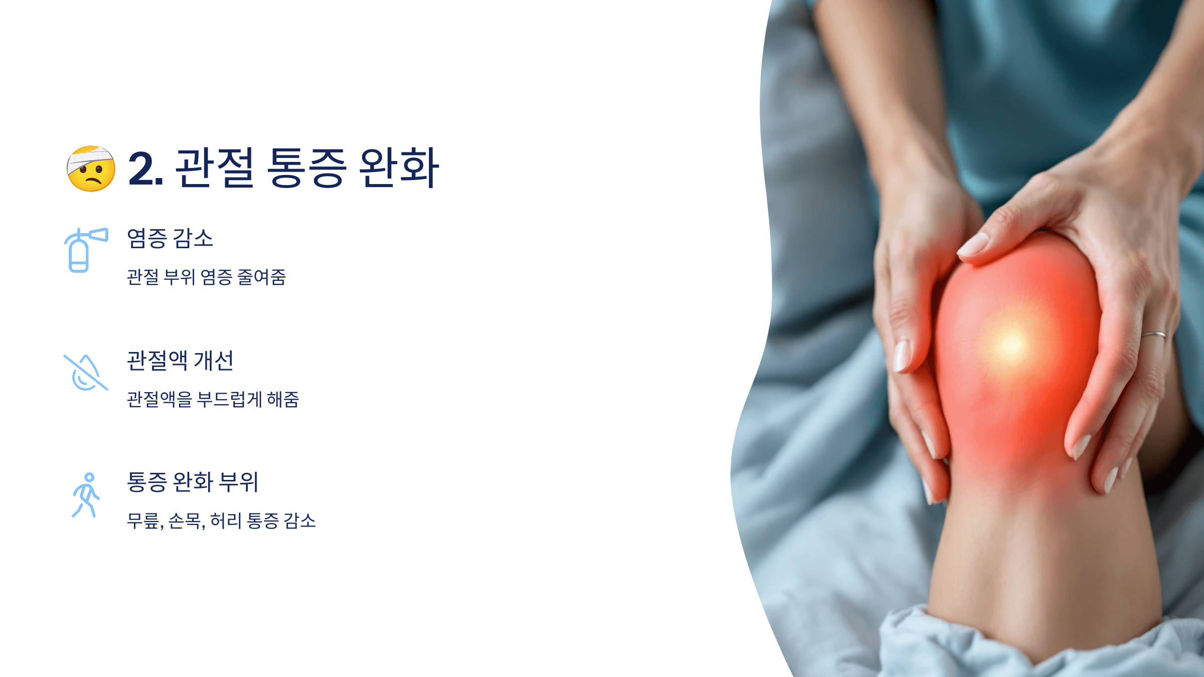 콘드로이친과 관련된 사진입니다.