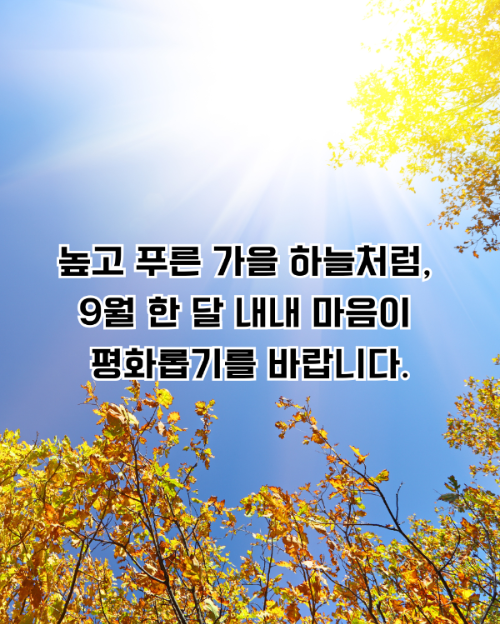 높고 푸른 가을하늘