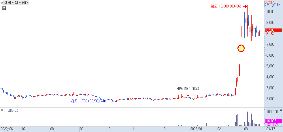 셀바스헬스케어 일봉 차트