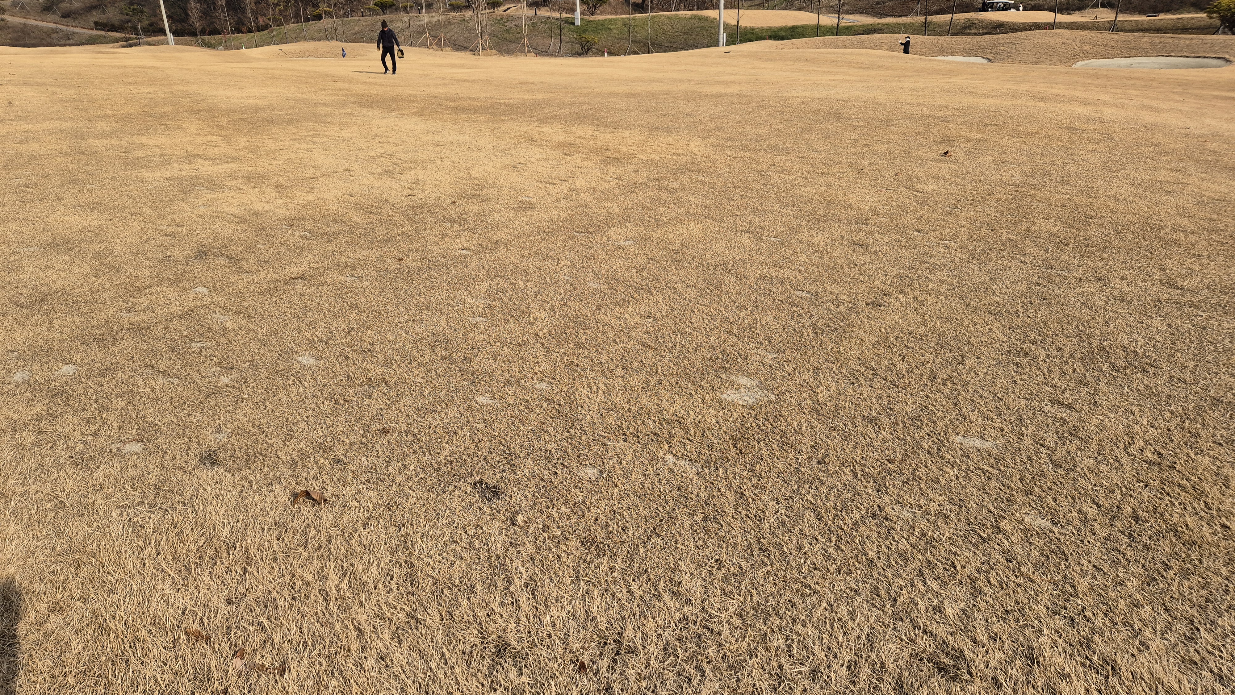 모나크cc 라운드 후기 코스관리상태