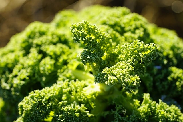 kale