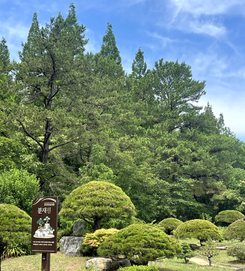 추석연휴경주여행