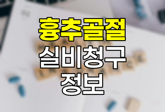 흉추 골절 실비청구 핵심 정보